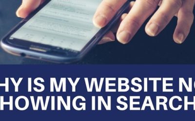 Why is My Website Not Showing in Search Results for XYZ?