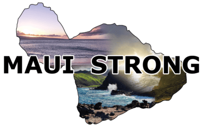 The Maui Tragedy in Lahaina & How You Can Help
